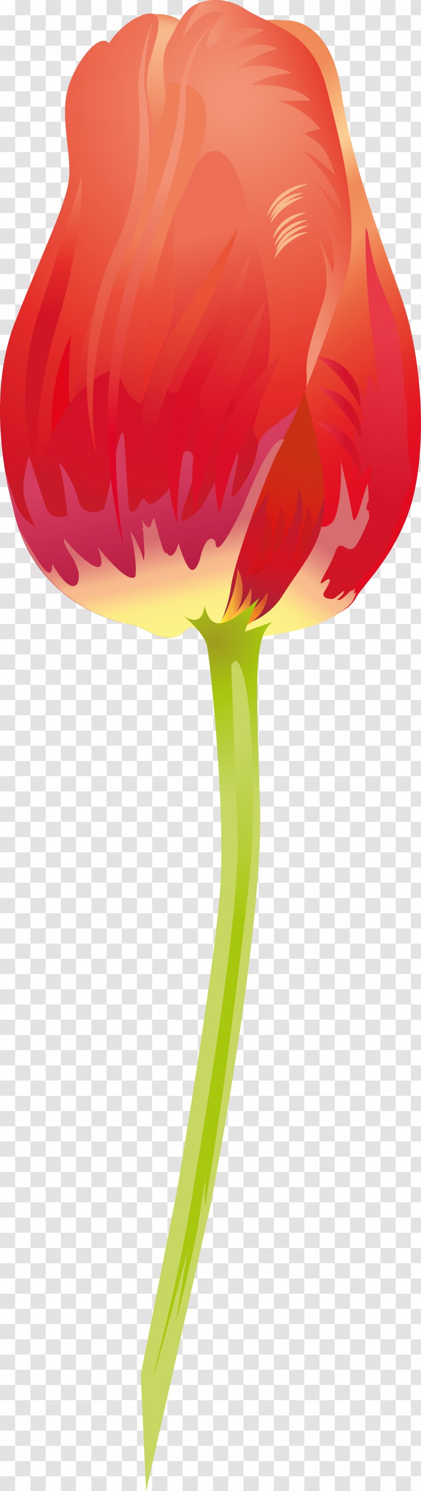 Flowering Plant - Red - 123 Transparent PNG