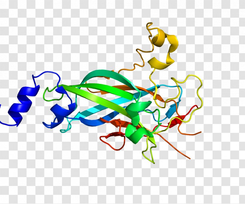 Basic Helix-loop-helix Helix-turn-helix Protein Structural Motif Pfam - Flower - Heart Transparent PNG