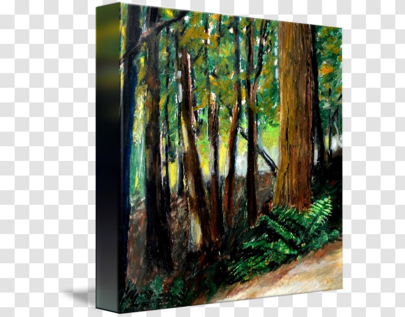 Woodland Painting Trail Canvas Print Drawing Transparent PNG