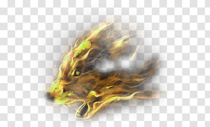 Gray Wolf Download - Yellow Atmosphere Flame Animal Effect Element Transparent PNG