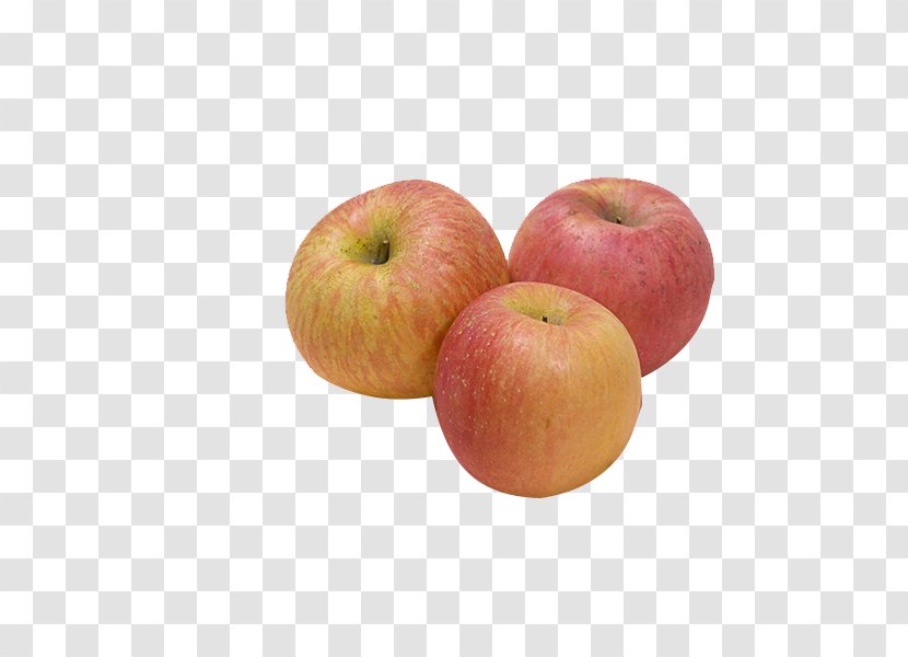 Apple - Mcintosh Laboratory - Three Apples,Product Kind Transparent PNG