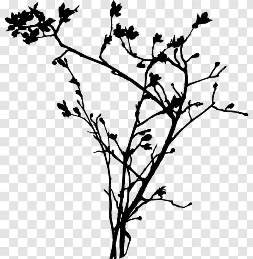 Twig Clip Art Flower Plant Stem Leaf Transparent PNG