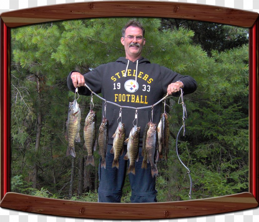 Red Cedar Lake Smallmouth Bass Marten River, Ontario Largemouth - River - Fishing Transparent PNG