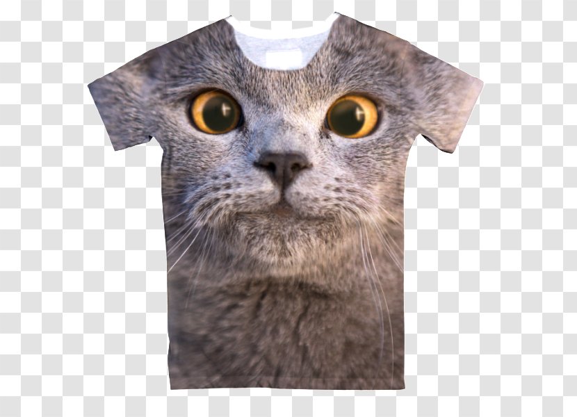 T-shirt YouTube Aaron's, Inc. Cat Musician - Heart Transparent PNG