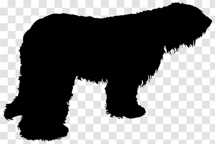 Miniature Schnauzer Affenpinscher Newfoundland Dog Puppy Breed Transparent PNG