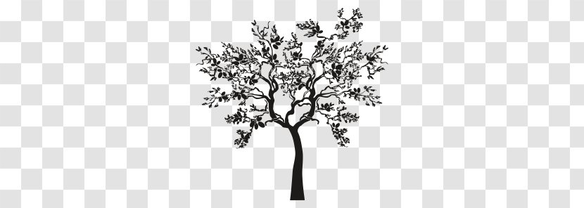 Olive Branch Tree Drawing - Flowering Plant Transparent PNG