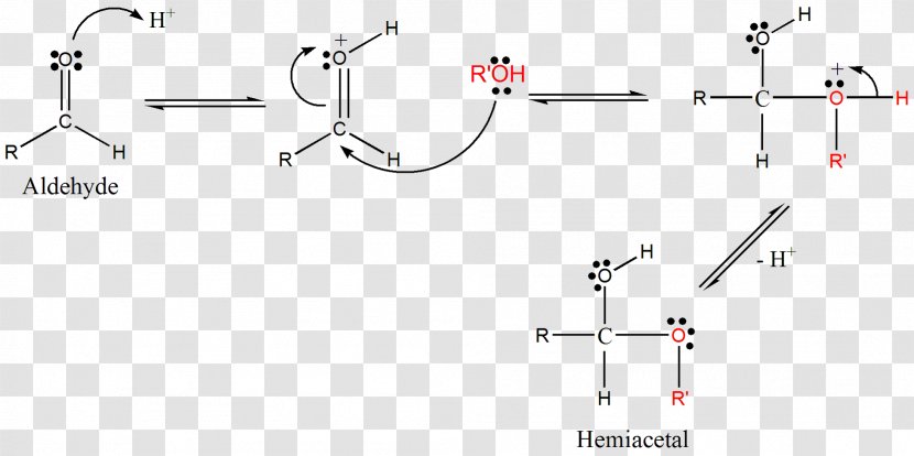 Carbonyl Group Organic Chemistry Functional Chemical Reaction - Hardware Accessory - Camphoric Acid Transparent PNG