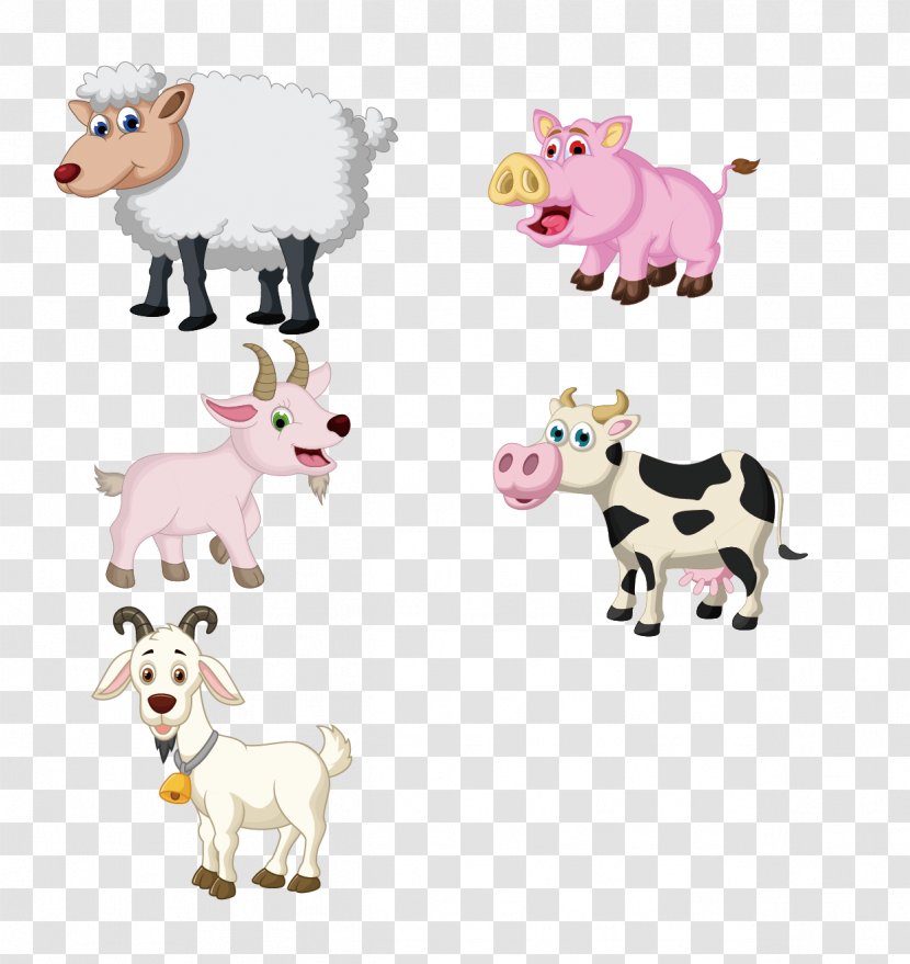 Sheep Domestic Pig Cattle Drawing - Yangniu Cartoon Vector Material Transparent PNG