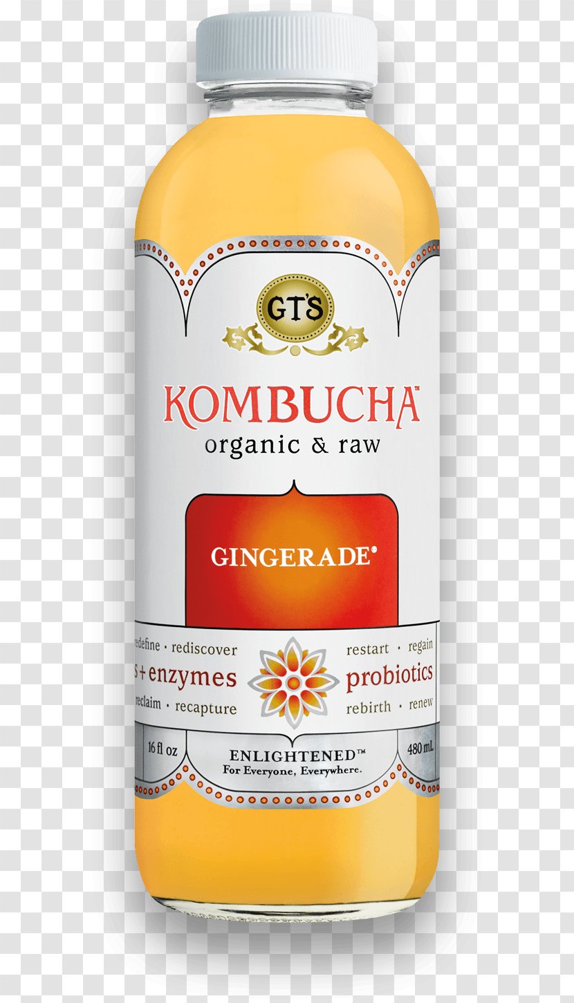 Kombucha Tea Kefir Raw Foodism - Probiotic Transparent PNG