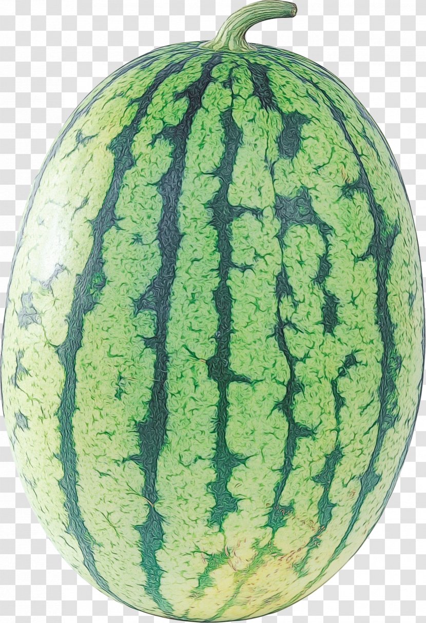 Watermelon Cartoon - Citrullus - Seedless Fruit Vegetable Transparent PNG