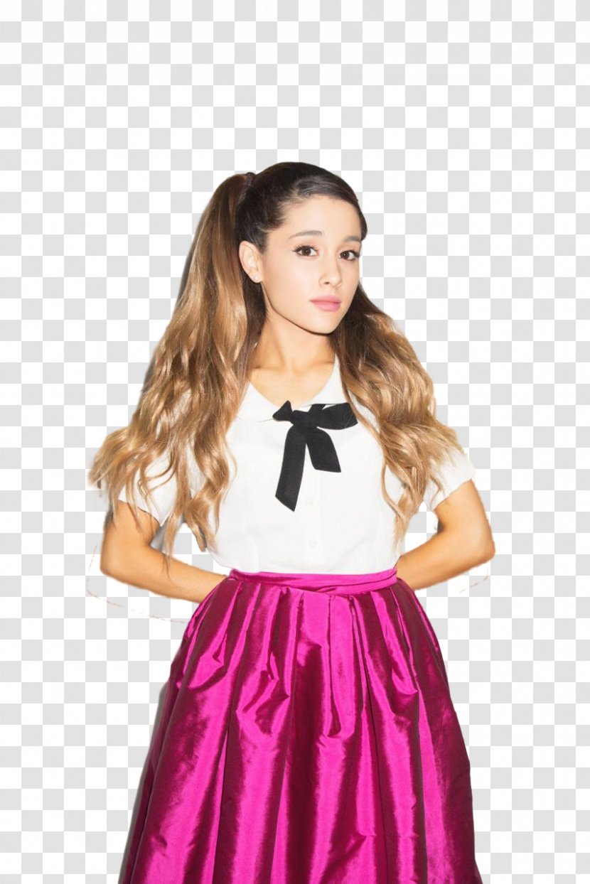 Ariana Grande Hairstyle Braid Ponytail - Silhouette Transparent PNG