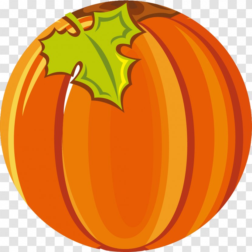 Pumpkin Vegetable Image Cartoon - Orange - Kabocha Transparent PNG