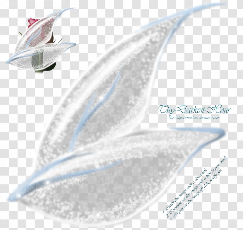 Wing Paper Fairy Feather - Sparkling Transparent PNG