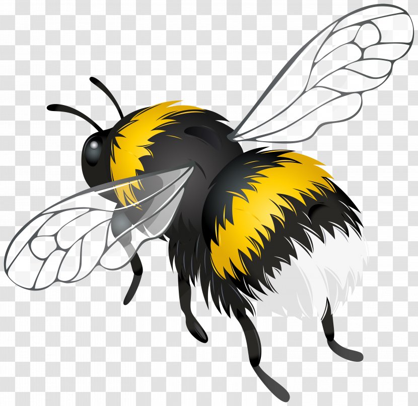 Bee Insect Flight Clip Art - Organism - Grasshopper Transparent PNG