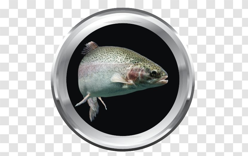 Fish Rainbow Trout Brown Transparent PNG
