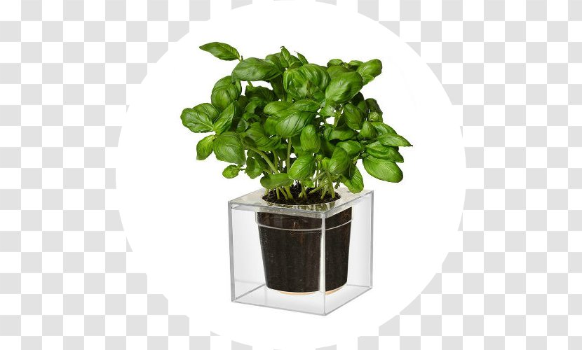 Flowerpot Cube Garden Watering Cans Container Transparent PNG