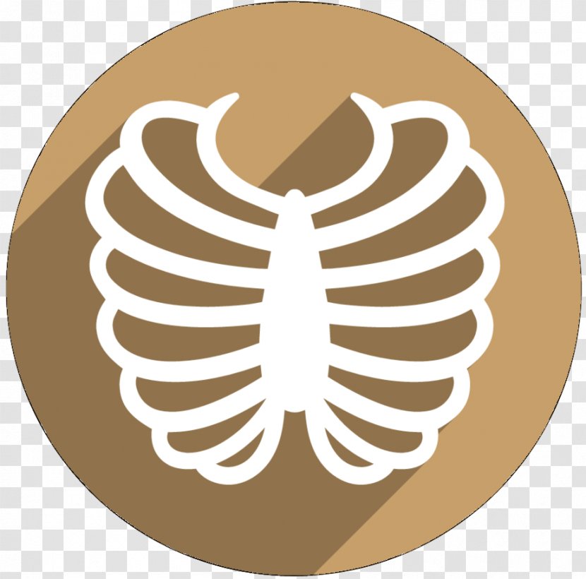 Rib Cage Clip Art Bone - Wing Transparent PNG