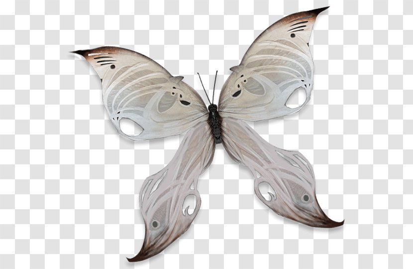 League Of Legends Riot Games Garena Butterfly Net Transparent PNG