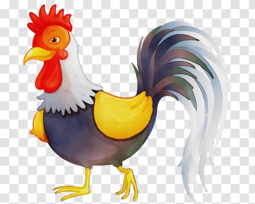 Chicken Rooster Photography Image - Cartoon - Drawing Transparent PNG