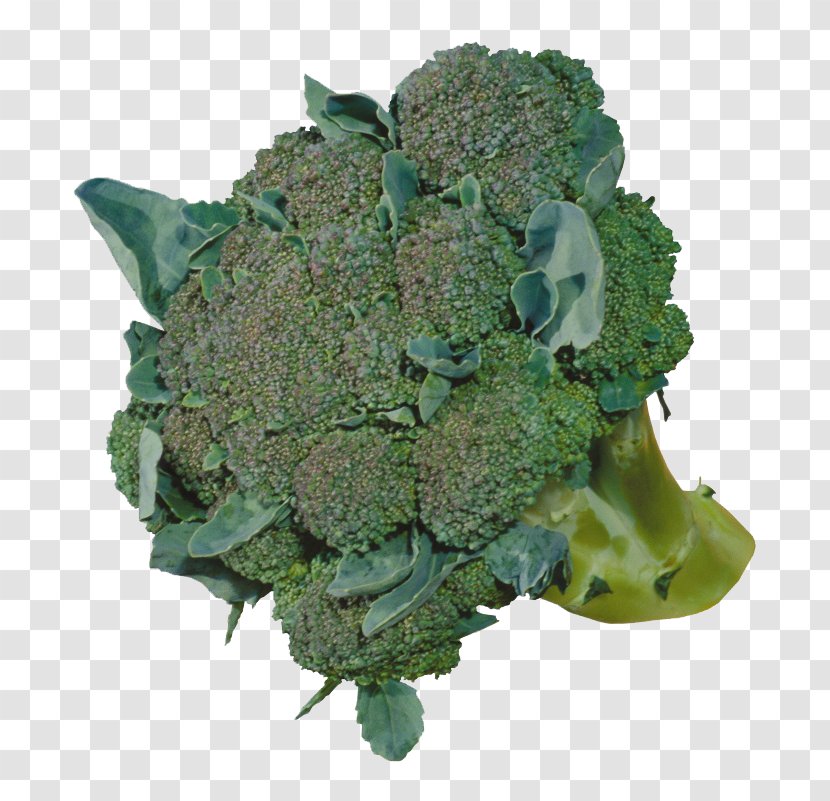 Broccoli Cauliflower Vegetable Food - Spring Greens - A Transparent PNG