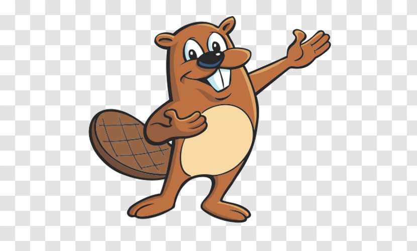 Beaver Cartoon Drawing Clip Art - Animation Transparent PNG