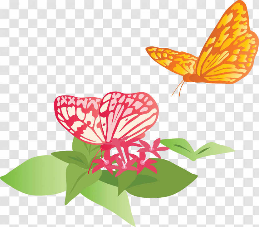 Butterfly Flowers Transparent PNG