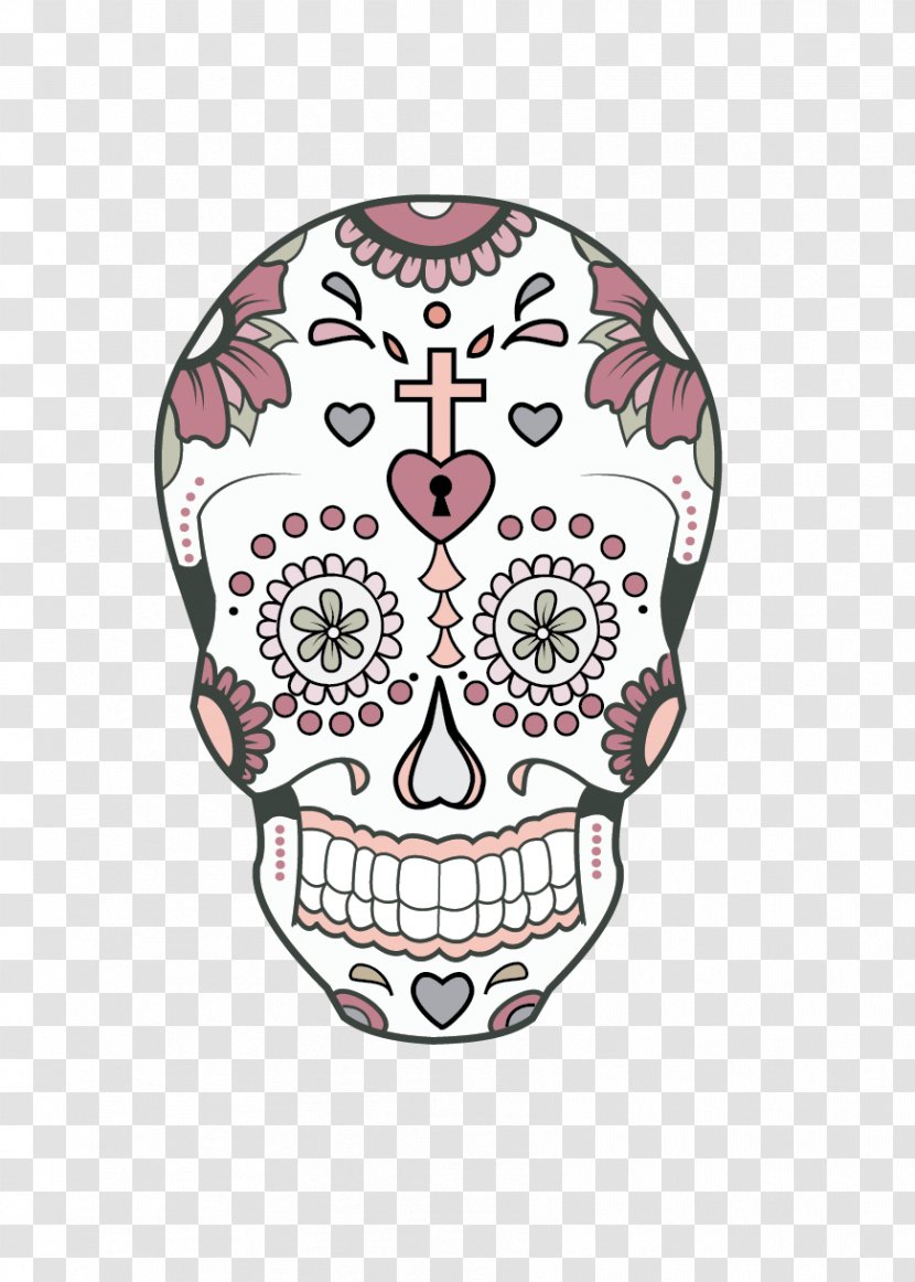 Drawing Skull /m/02csf - Head Transparent PNG
