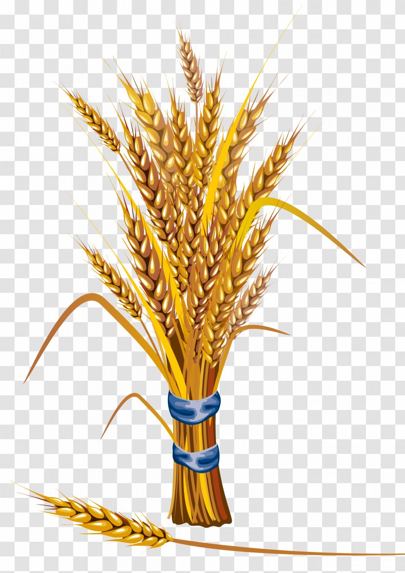 Wheat Icon - Royalty Free Transparent PNG