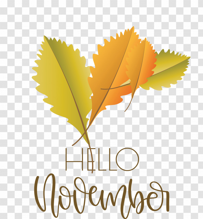 Hello November November Transparent PNG