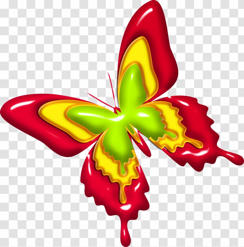 Butterfly Flower Clip Art - Invertebrate - Camomile Transparent PNG