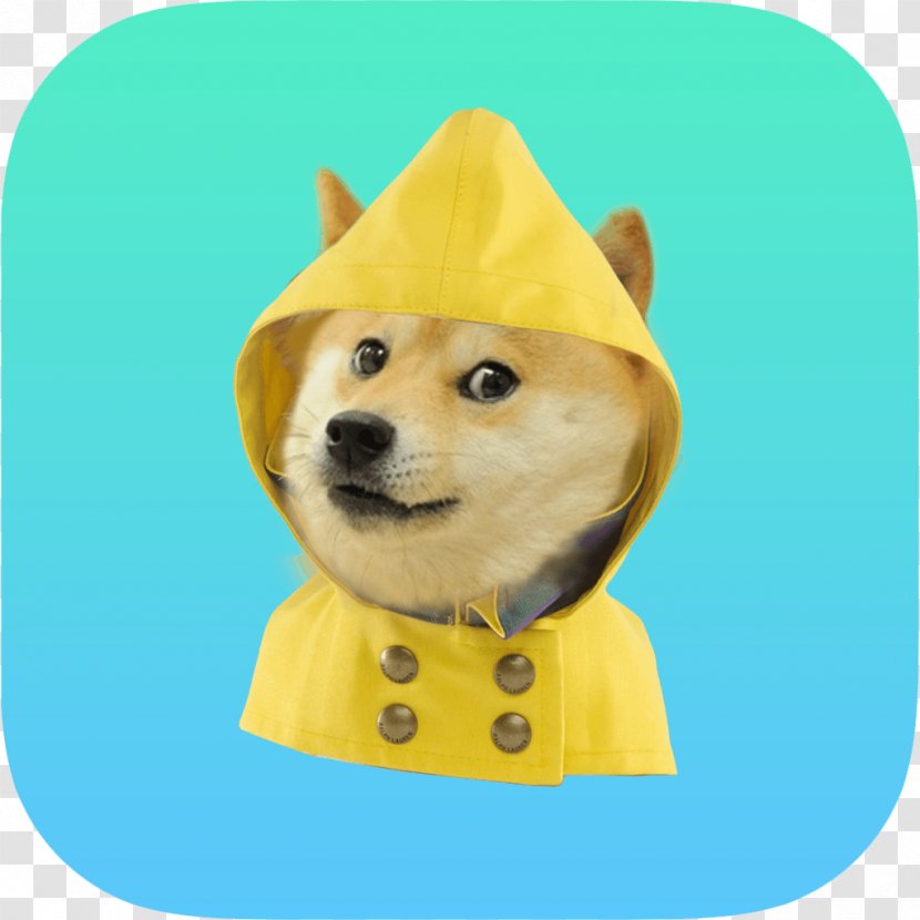 Doge Weather Forecasting Android Transparent PNG