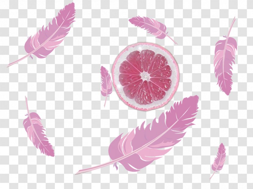 Desktop Wallpaper Feather Quill Pen - Pink Transparent PNG