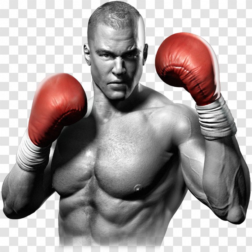 Boxing Glove Professional Clip Art - Tree - Available In Different Size Transparent PNG