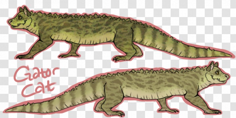 Alligators Crocodile Cat Kitten Common Iguanas - Reptile - Art Transparent PNG