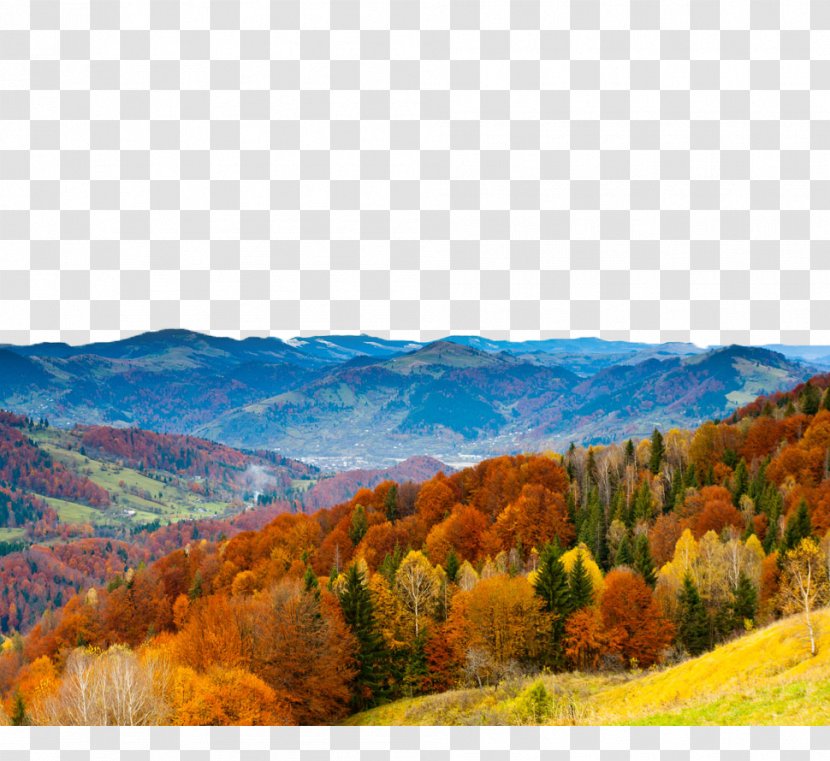 Wall Decal Autumn Painting Art - Hill - Scenery Transparent PNG