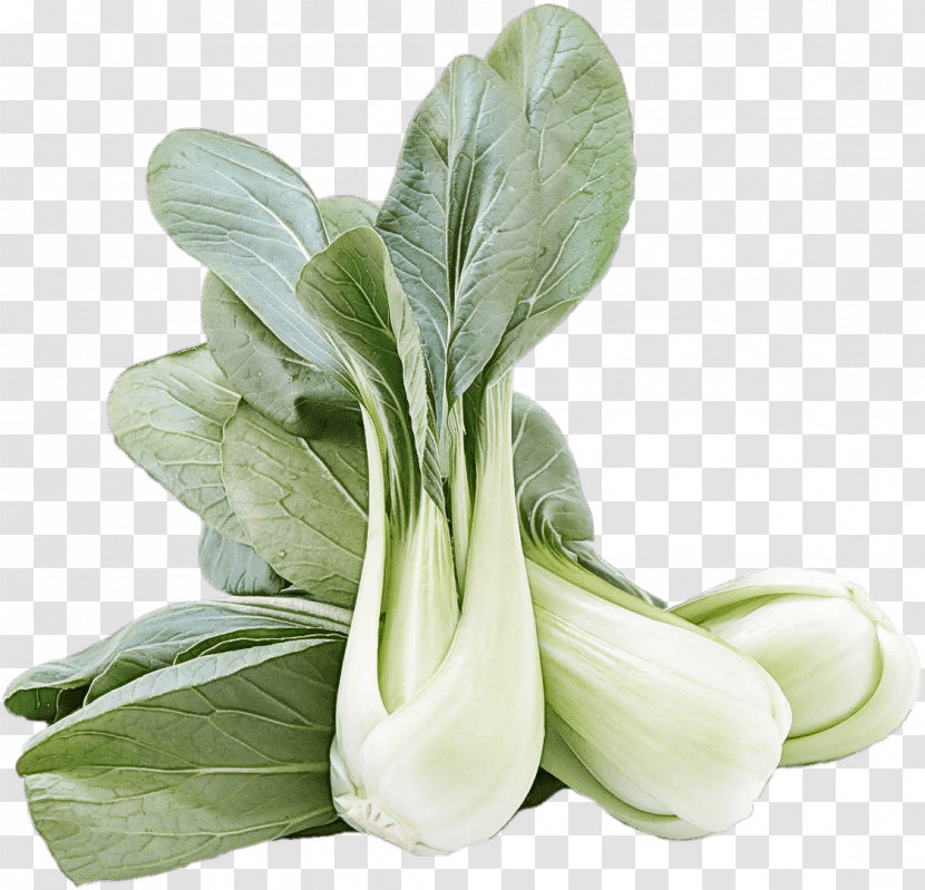 Vegetable Food Plant Flower Tatsoi Transparent PNG