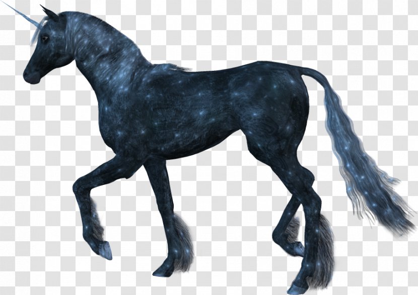 Horse - Unicornio Transparent PNG