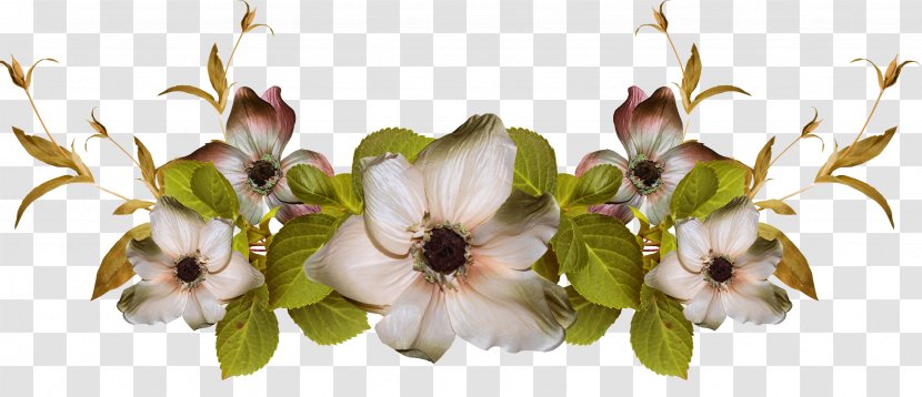 Picture Frames Flower Floral Design Clip Art - Plant Stem - 50 Transparent PNG