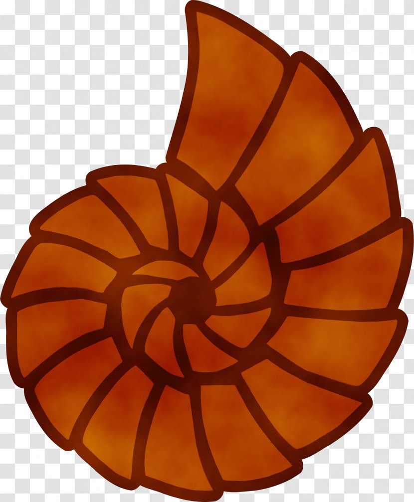 Watercolor Leaf - Beach - Nautilus Chambered Transparent PNG