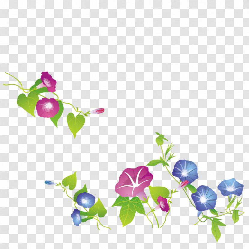 Ipomoea Nil Flower - Tree - Exquisite Trumpet Transparent PNG