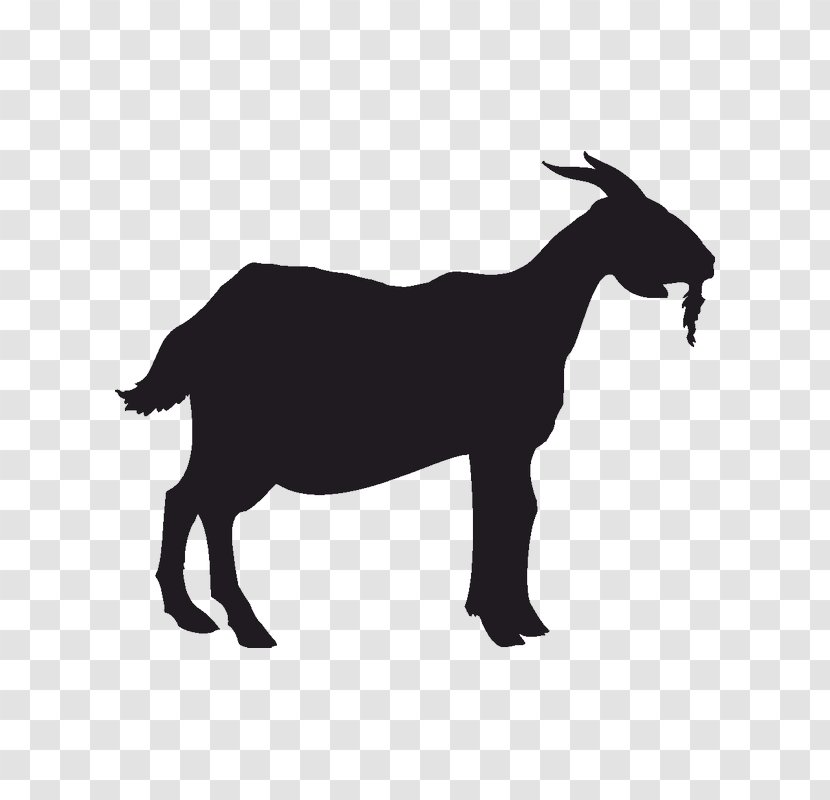 Boer Goat Anglo-Nubian Pygmy Silhouette - Wildlife Transparent PNG