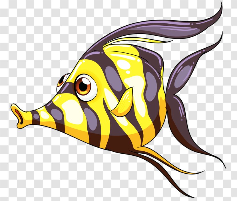 Fish - Organism - Tropical Transparent PNG