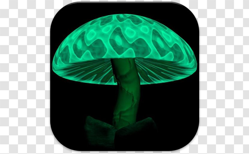 Psilocybin Mushroom Desktop Wallpaper Hallucinogen Psychedelic Drug Transparent PNG