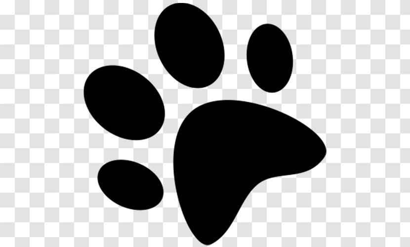 Smooth Collie Puppy Rough Paw Litter - Monochrome Photography Transparent PNG