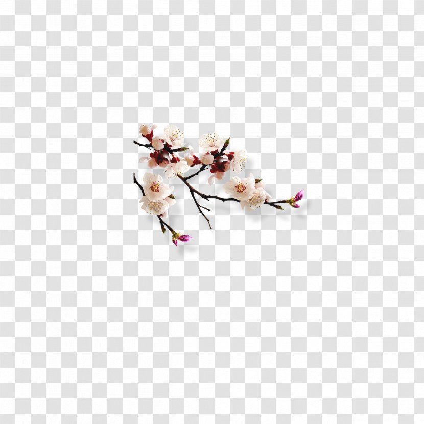 Summer Palace Slender West Lake Qingming U6545u4e8bu532f Zuimei - Peach Blossom Transparent PNG