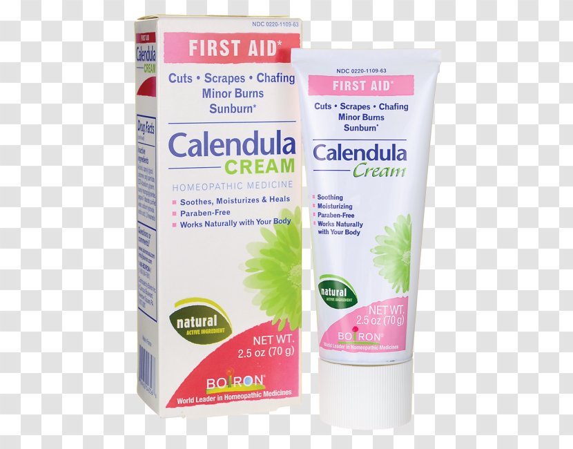 Cream Lotion Calendula Officinalis Ointment Skin Care - Topical Medication Transparent PNG