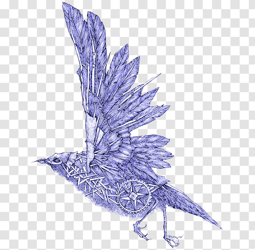 Bird Drawing Art Illustration - Eagle Wings Transparent PNG