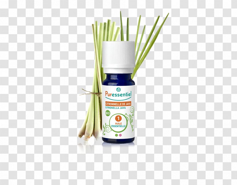 Cymbopogon Citratus Essential Oil Citronella Organic Food - Aromatherapy Transparent PNG