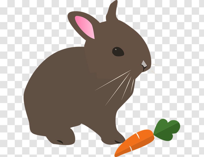 Hare Rabbit Clip Art - Easter Transparent PNG