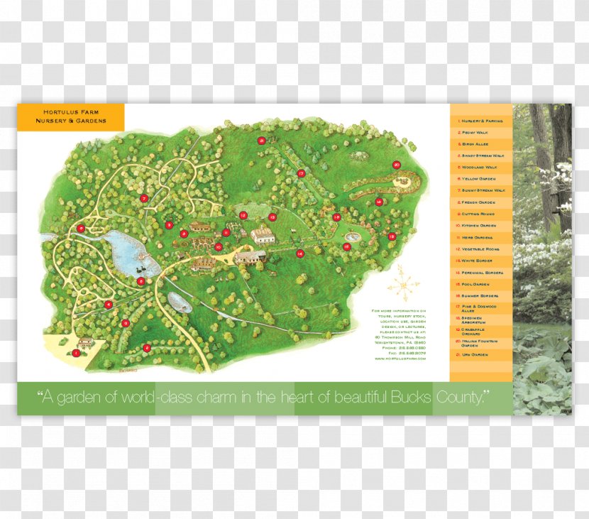 Leaf Ecosystem Urban Design Land Lot Map - Organism Transparent PNG